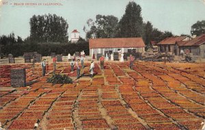 Peach Drying California, USA Fruit Assorted 1908 Missing Stamp 