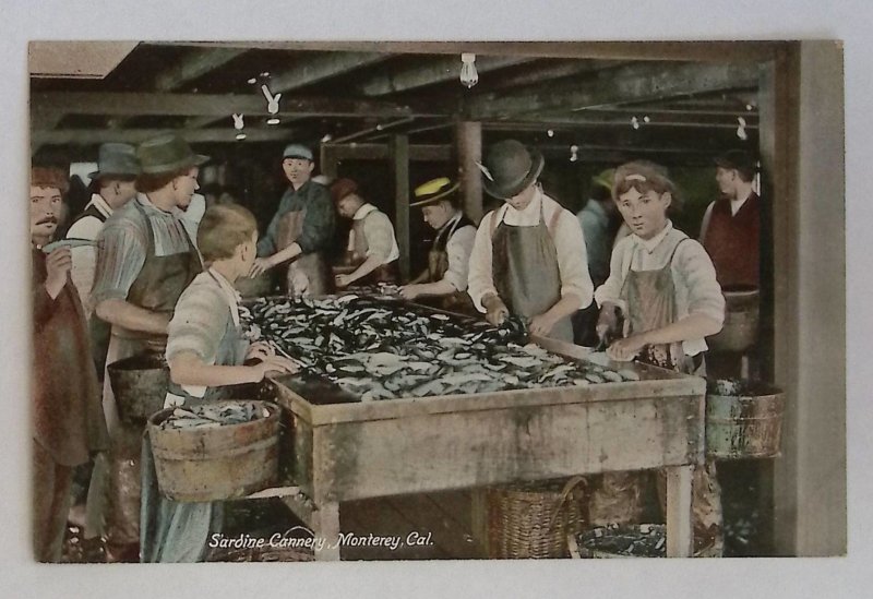 Sardine Cannery Monterey, CA (Sorting the Sardines) Postcard Original VG