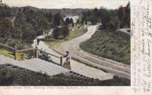 Seneca Park Showing Walk to Trout Lake NY, Rochester, New York - pm 1906 - UDB