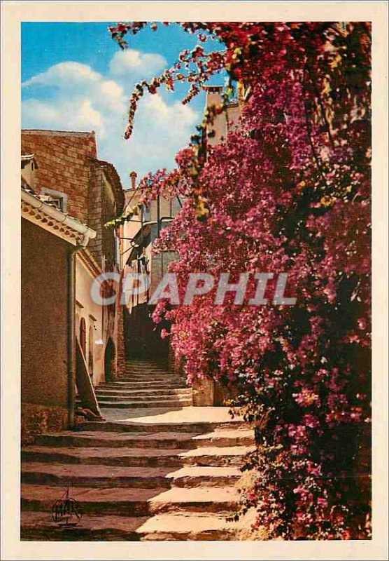 Modern Postcard The Cote d Azur Bormes les Mimosas Var Street Rompi Couou