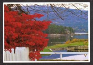 ME View of the Village of SOMESVILLE MAINE Postcard