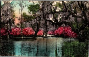 Magnolia Gardens, Charlesto SC c1930 Hand Colored Vintage Postcard W39