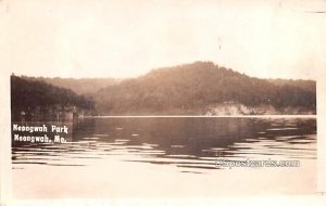 Neongwah Park - Missouri MO Postcard