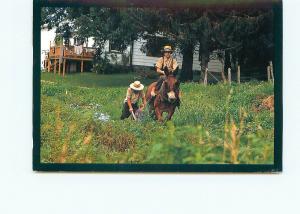 Postcard Almish Boys Mule Farming Plowing PA   # 4054A