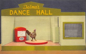 LPD24   Chicken Dancing Delma's Dance Hall    Postcard