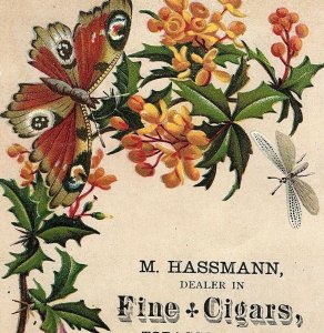 1880's M. Hassmann Cigars, Tobacco, Snuff, Pipes Victorian Trade Card P25