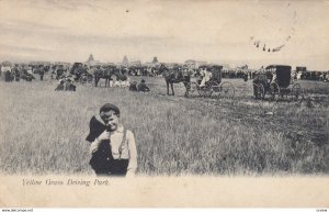 YELLOW GRASS , Sask. , Canada , 1906 ; Driving Park