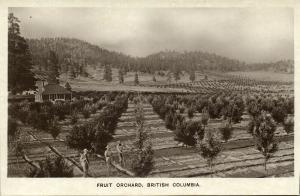 canada, Fruit Orchard in British Colombia (1930s) RPPC