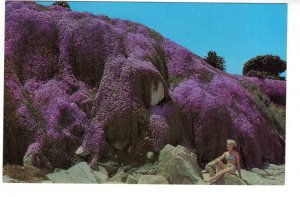 Magic Carpet, Pacific Cove, Monterey Bay, California, Woman in Bathing Suit