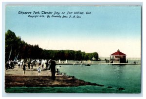 c1910 Chippewa Park Thunder Bay Port Arthur Ontario Canada Unposted Postcard