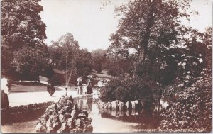 England The Harrogate Valley Gardens Vintage RPPC 09.08