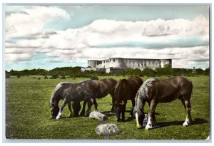 Borgholm Oland Sweden Postcard Castle in the Back Horses 1955 RPPC Photo