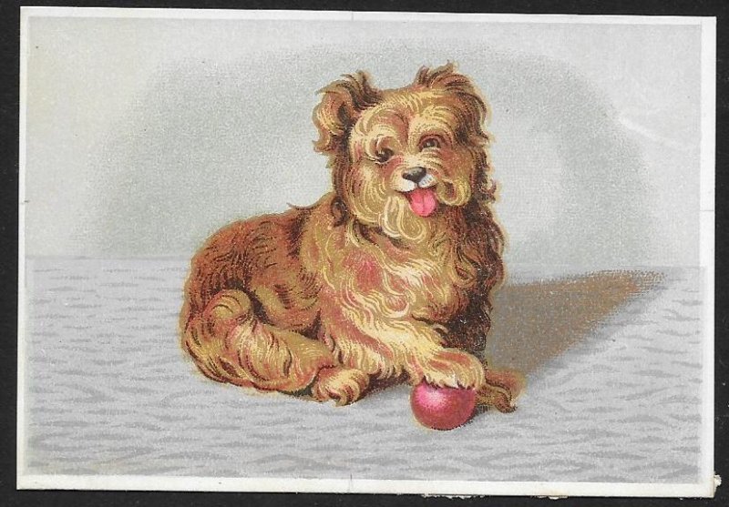 VICTORIAN TRADE CARDS (2) Stock Cards Cute Dogs Playing