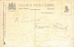 O'ER HILL AND DALE-TUCK SERIES 132 EMBOSSED POSTCARD