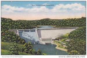 Tennessee Knoxville Norris Dam Albertype