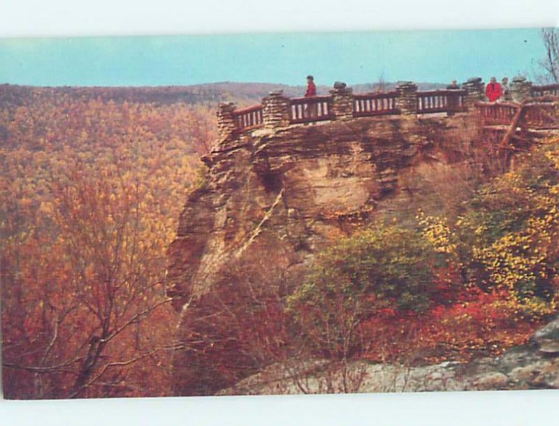 Unused Pre-1980 PARK SCENE Morgantown West Virginia WV H1691