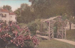 Illinois Champaign Rustic Bridge University Of Illinois Albertype