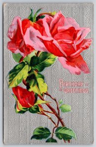 Greetings~Pink Roses & Birthday Greeting~Vintage Postcard