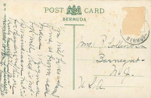 c1910 Printed Postcard; Onion Field, Bermuda Agriculture