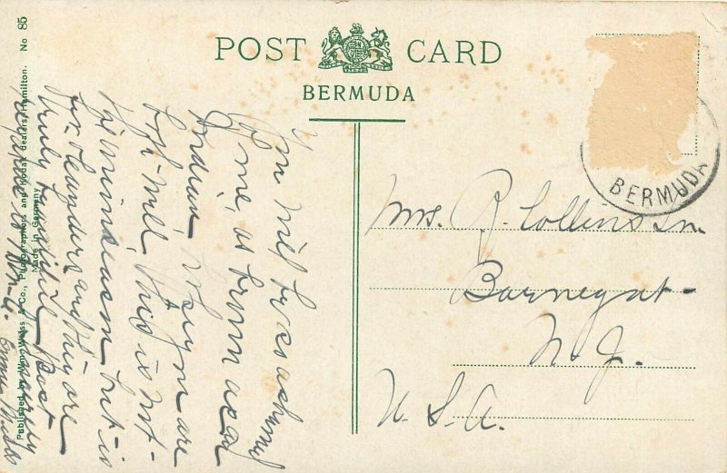 c1910 Printed Postcard; Onion Field, Bermuda Agriculture