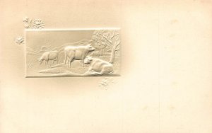 Airbrushed Animals Cattle Ox Sunset Mountain Flowers embossed postcard B832