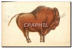 Old Postcard Patronato De Las Cuevas De Altamira Santander Bisonte parado