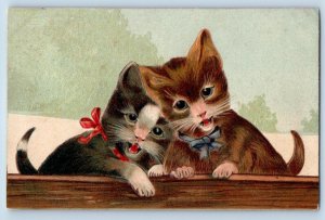 Worcester Massachusetts MA Postcard Cute Cat Kitten Animal Embossed 1910 Antique