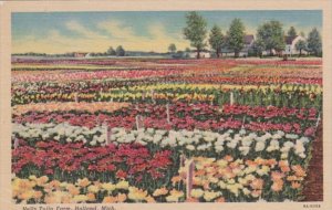 Michigan Holland Scene At Nelis Tulip Farm Curteich