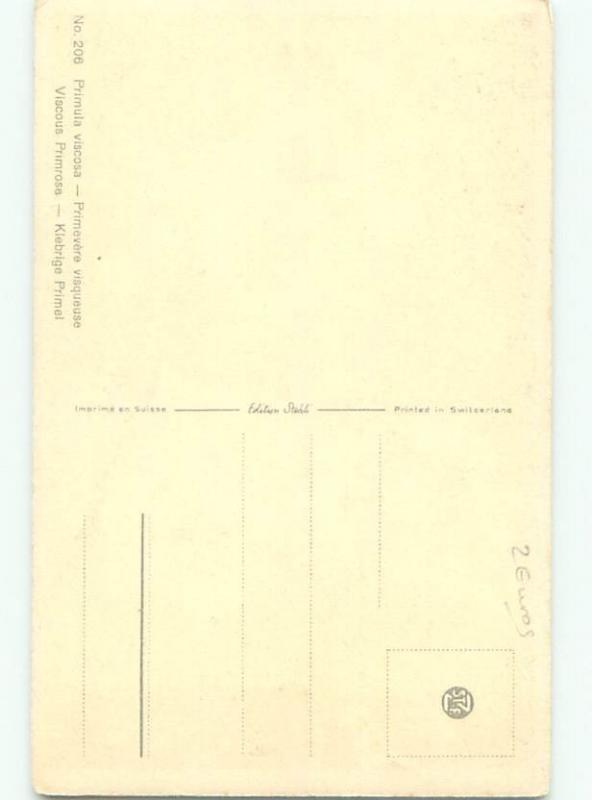 Very Old Foreign Postcard BEAUTIFUL FLOWERS SCENE AA4807