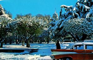 Chile Punta Arenas Plaza Munoz Gamero Nevada