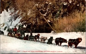 Postcard Yukon Dog Team Freighting Through Alaskan Canyon