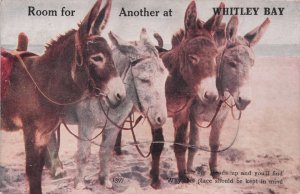 Whitley Bay Donkey Rides Northumberland Mailing Novelty Postcard