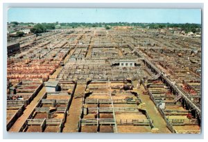 Vintage Union Stock Yards Ohaha Nebraska Postcard P99E