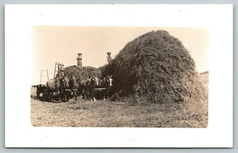 Real Photo Postcard~Farmers on Hay Mound Pitch Fork to 4 Horse Team Wagon~c1910 