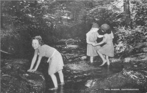 Wading in the Brook, Rockwood, Bethesda, MD Girl Scouts c1940s Vintage Postcard