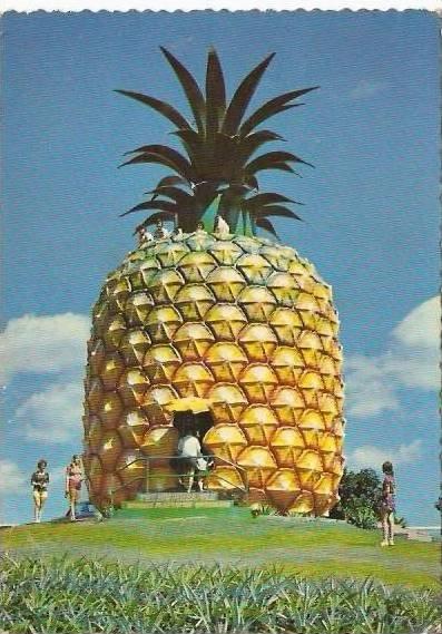 Australia -Australie - Queensland - Big Pineapple, near 