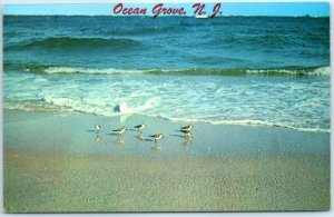 Postcard - Ocean Grove, New Jersey