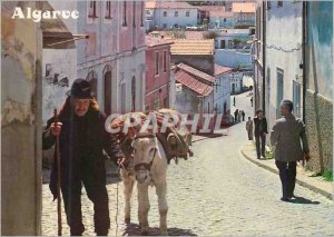 Modern Postcard Old man in Algarve Donkey Donkey