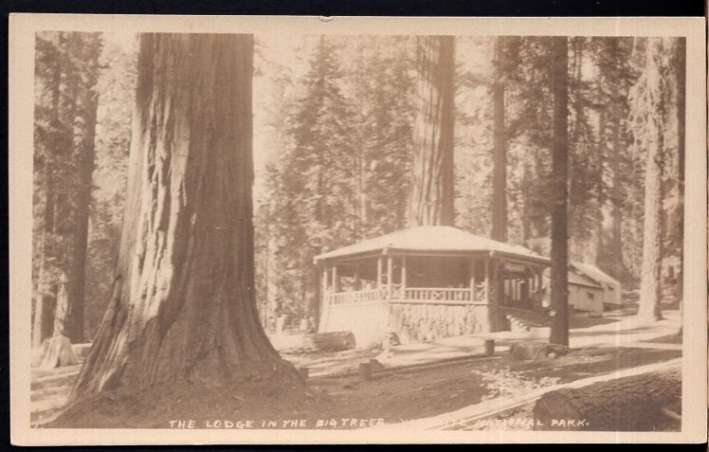 California Yosemite National Park The Lodge in the Big Trees - Divided Back