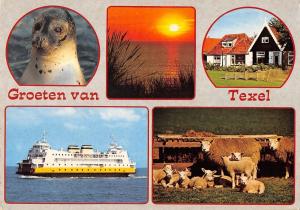 BR86420 groeten van texel seal ship bateaux netherlands