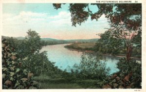 Vintage Postcard 1932 The Picturesque Scenic View Lake And Forest Delaware DE