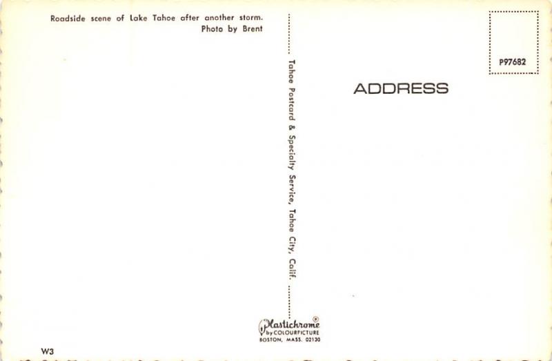 Lake Tahoe - Winter Roadside