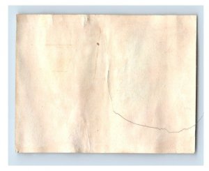 1880s Victorian Label For Packer's Healing Tar Soap Flags F144