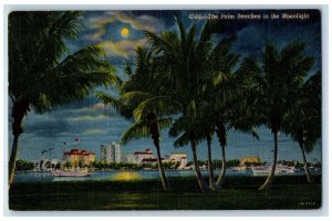 1955 Palm Beaches Moonlight Grand Vacationing Grand Living Florida FL Postcard