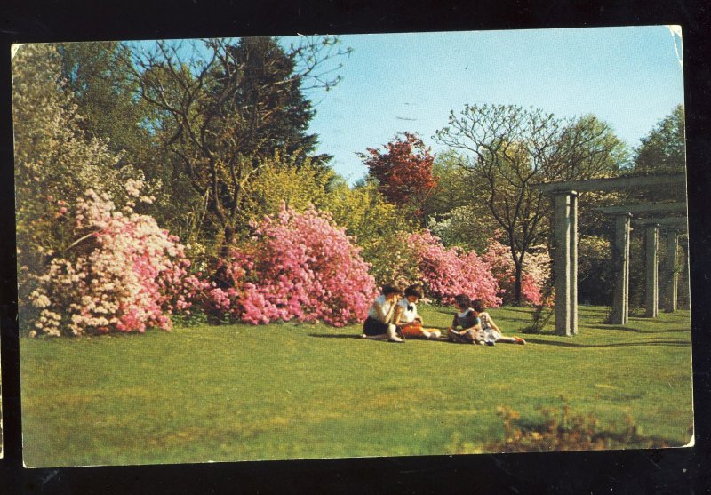 Springfield, Massachusetts/MA Postcard, Flower Garden, Forest Park, 1965!