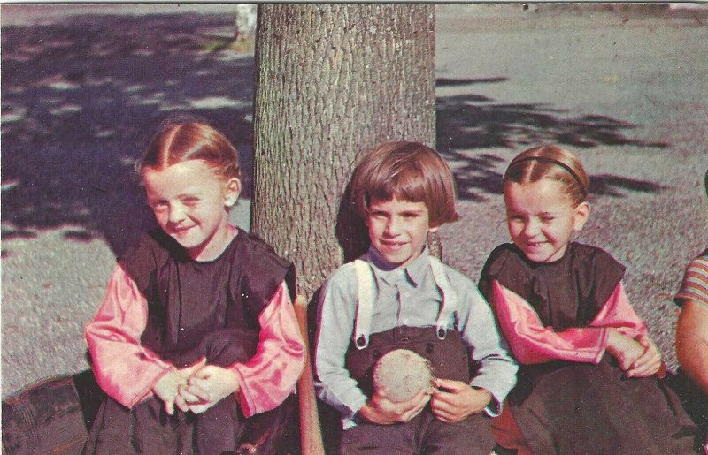 Vintage postcard of 3 Amish Children, Amish Country, Ohio