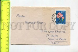 466570 1965 year Poland to France stamp flowers real posted COVER