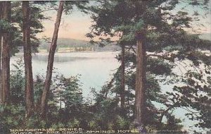 New Hampshire Namaschaug Series Vista of Pine Grove Springs Hotel Albertype