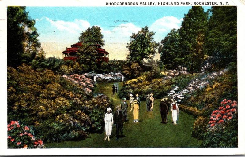 New York Rochester Highland Park Rhododendron Valley 1926 Curteich