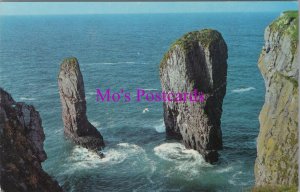 Wales Postcard - Stack Rocks, Pembrokeshire National Park Coastline RS37931